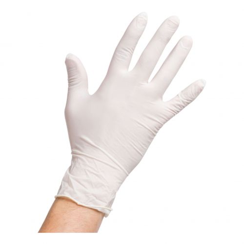 Latex Gloves Clear Powder Free